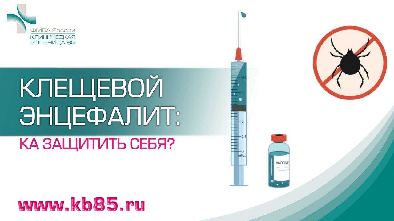Скрытая камера у гинеколога  ПАМЯТКА. Клещевой вирусный энцефалит: симптомы, терапия, профилактика. | КБ  №85