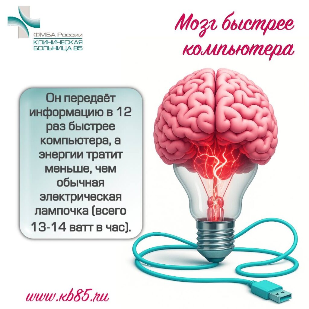 Интересные факты о мозге 2 img 8342