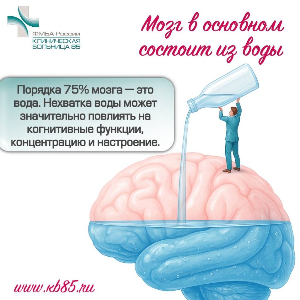 Интересные факты о мозге 3 img 8344