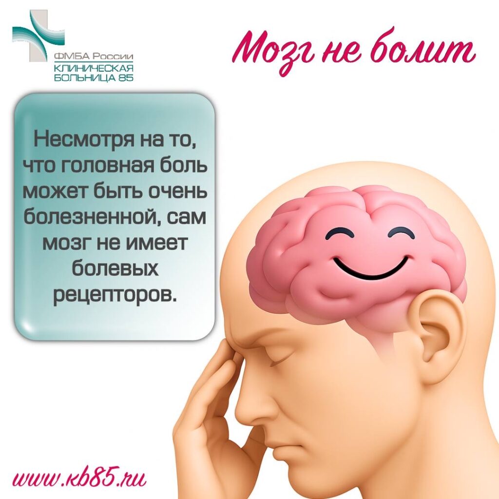 Интересные факты о мозге 4 img 8345