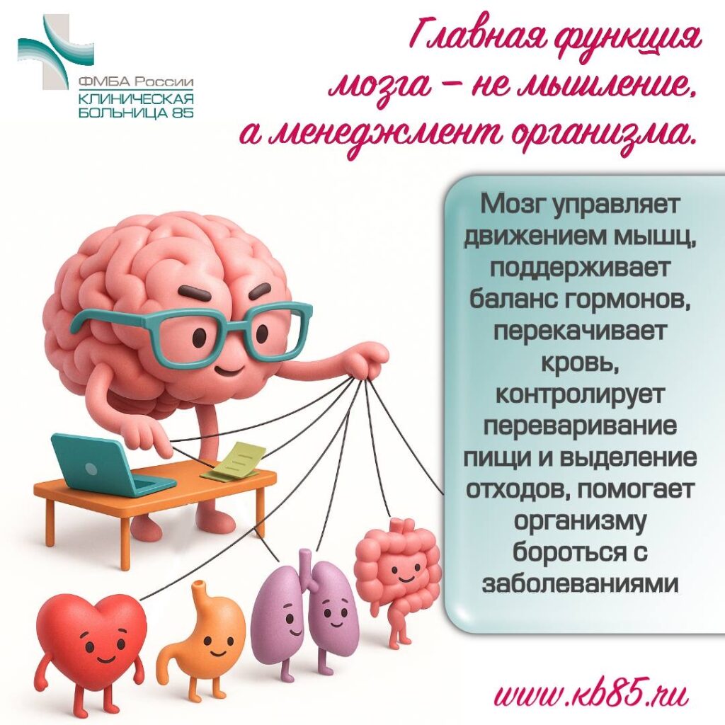 Интересные факты о мозге 6 img 8346