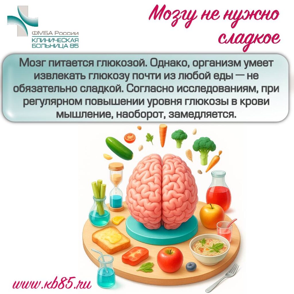 Интересные факты о мозге 5 img 8347
